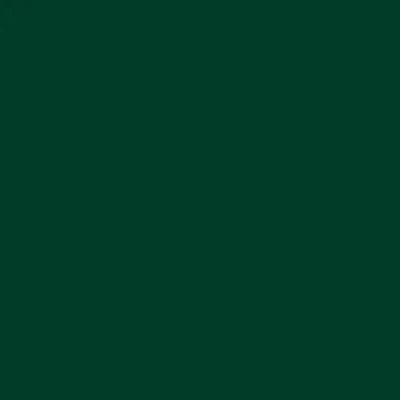 Échantillon de couleur - Vert - RAL 6005